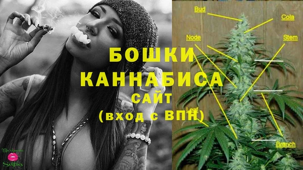 дживик Михайлов