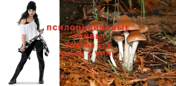 дживик Михайлов