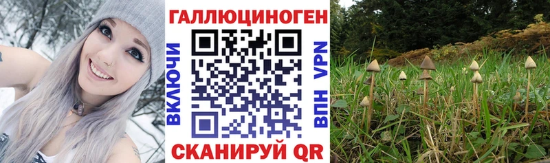 Галлюциногенные грибы мицелий  дарк нет состав  Челябинск  купить  